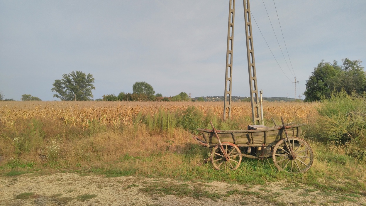 A borgátai kukoricamezők - Kocsmaturista