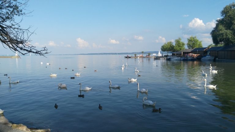 A hattyúk Balatonja, Keszthelyen - Kocsmaturista