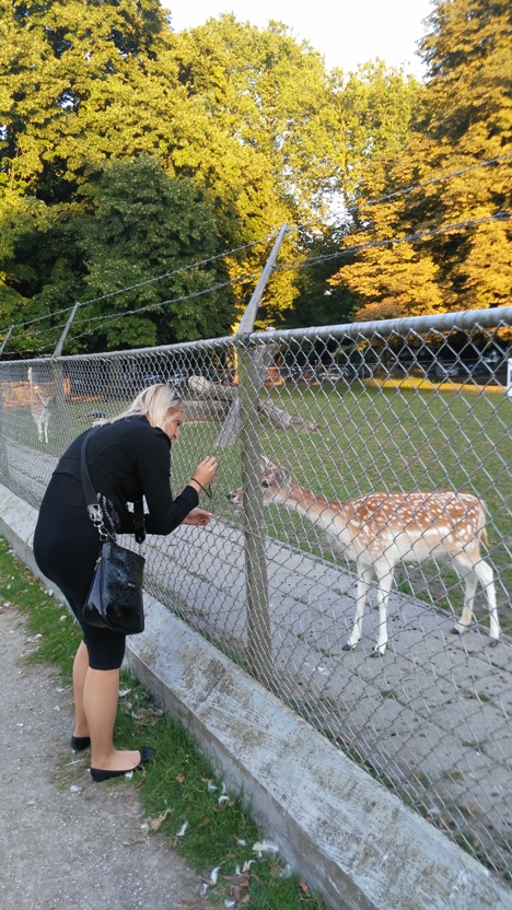 Kisállat simogató Maastrichtben - Kocsmaturista